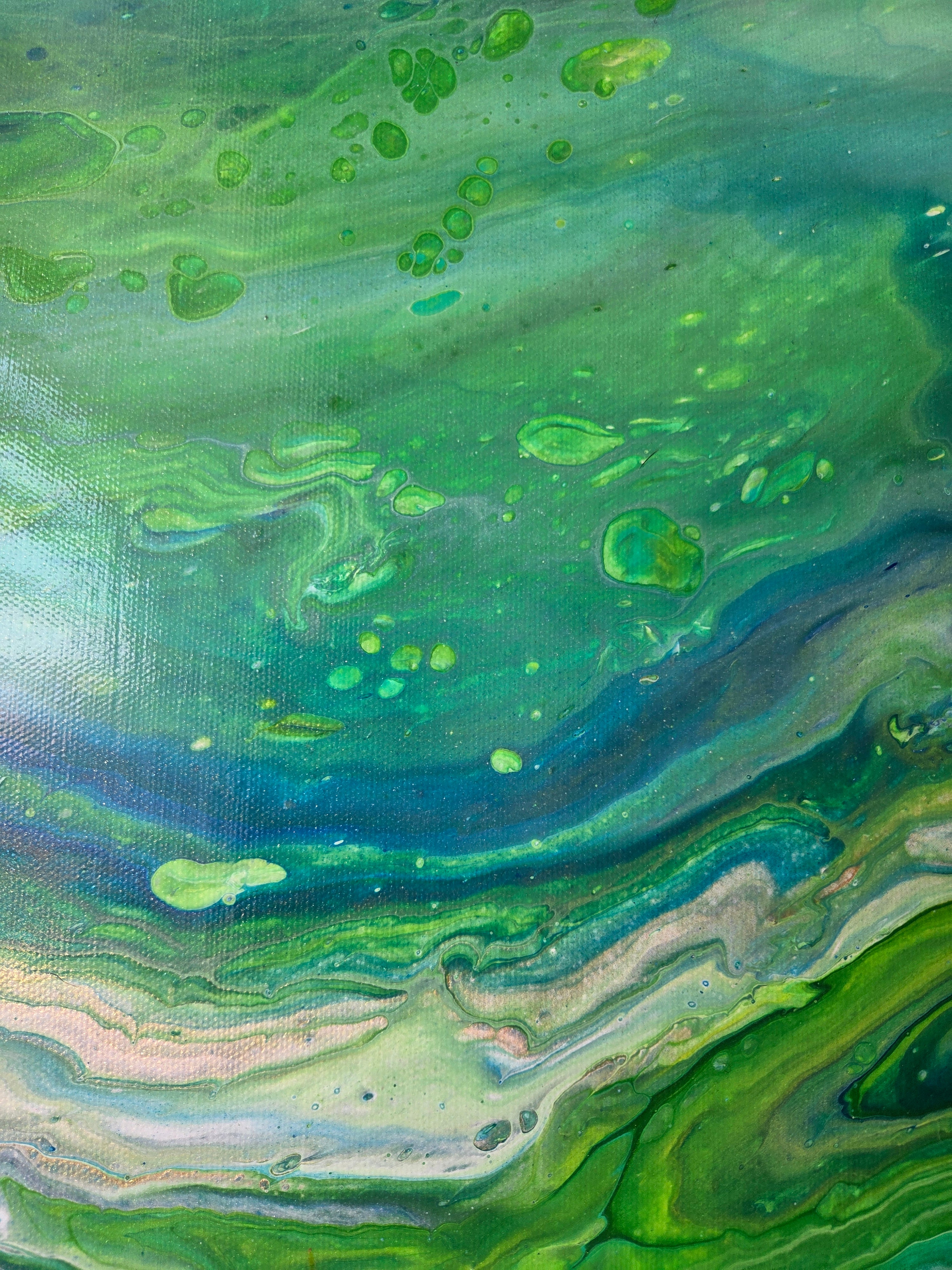 Peacock| Original Fluid Acrylic Artwork