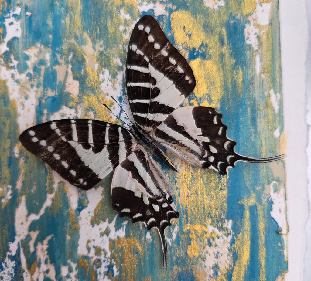 Inspirational Mixed-Media Butterfly Art |shadow box.