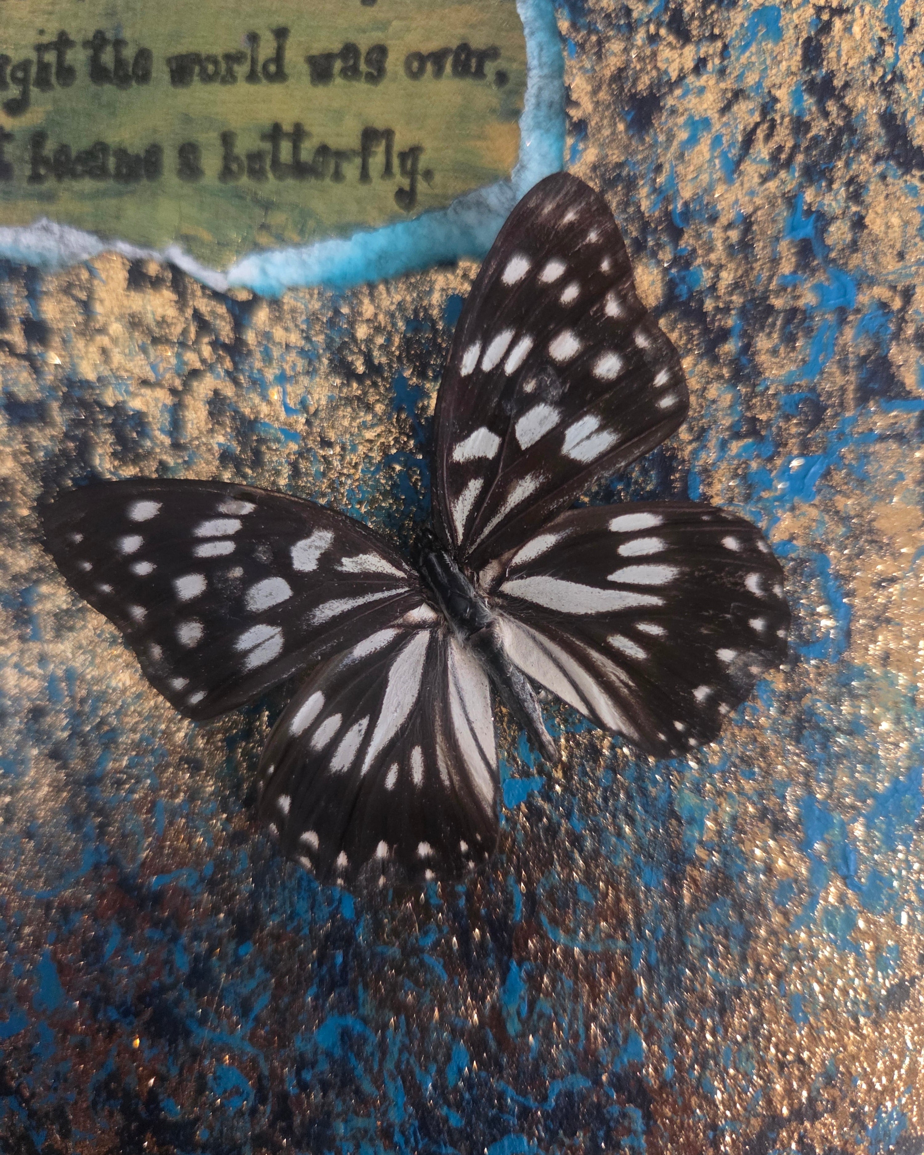 Inspirational Mixed-Media Butterfly Art |shadow box.