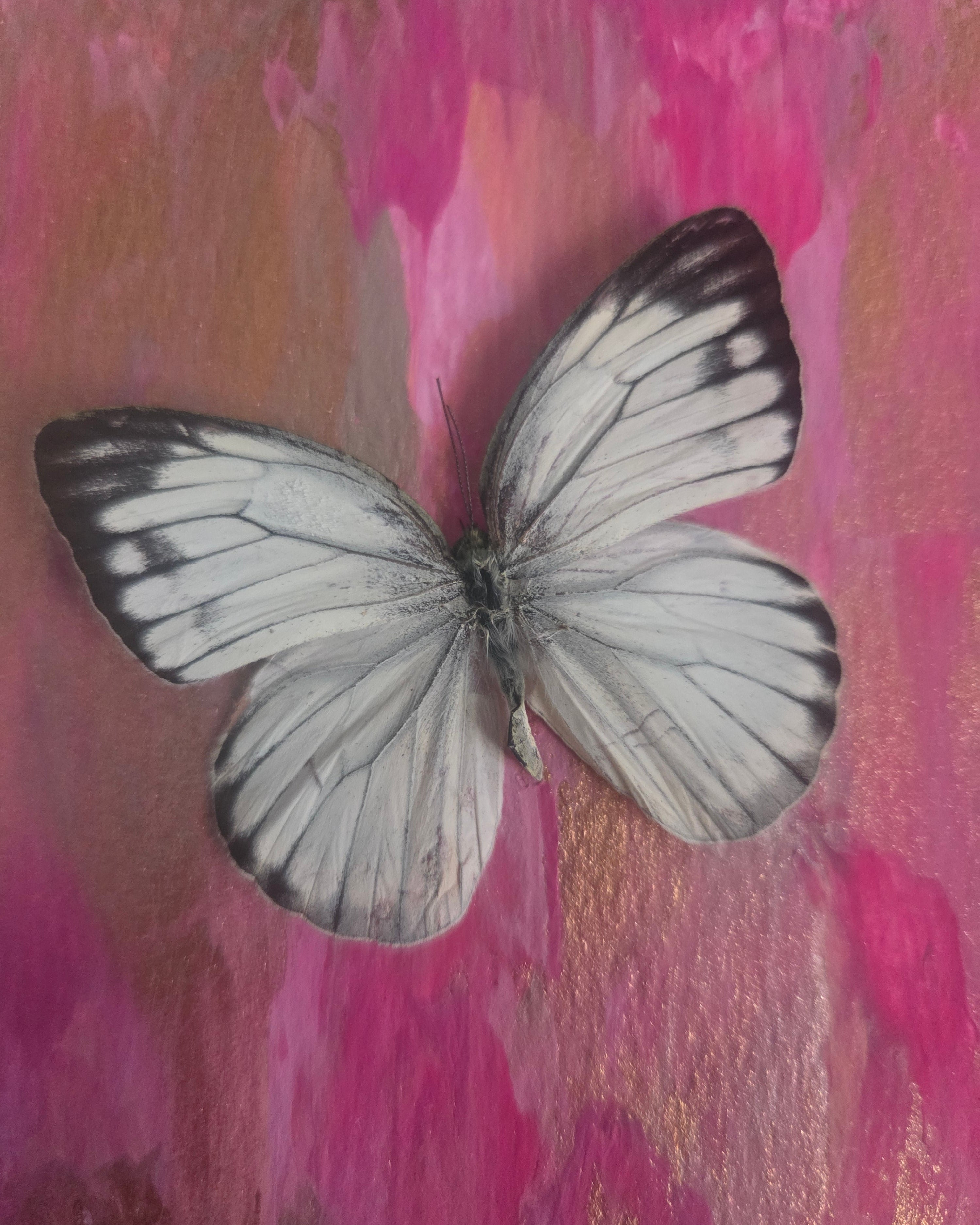Inspirational Mixed-Media Butterfly Art |shadow box.