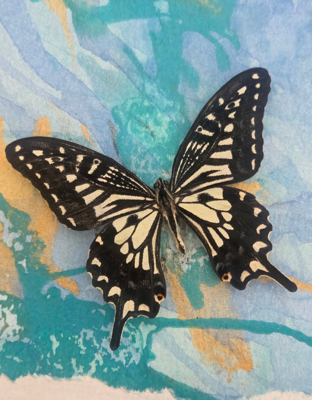 Inspirational Mixed-Media Butterfly Art |shadow box.