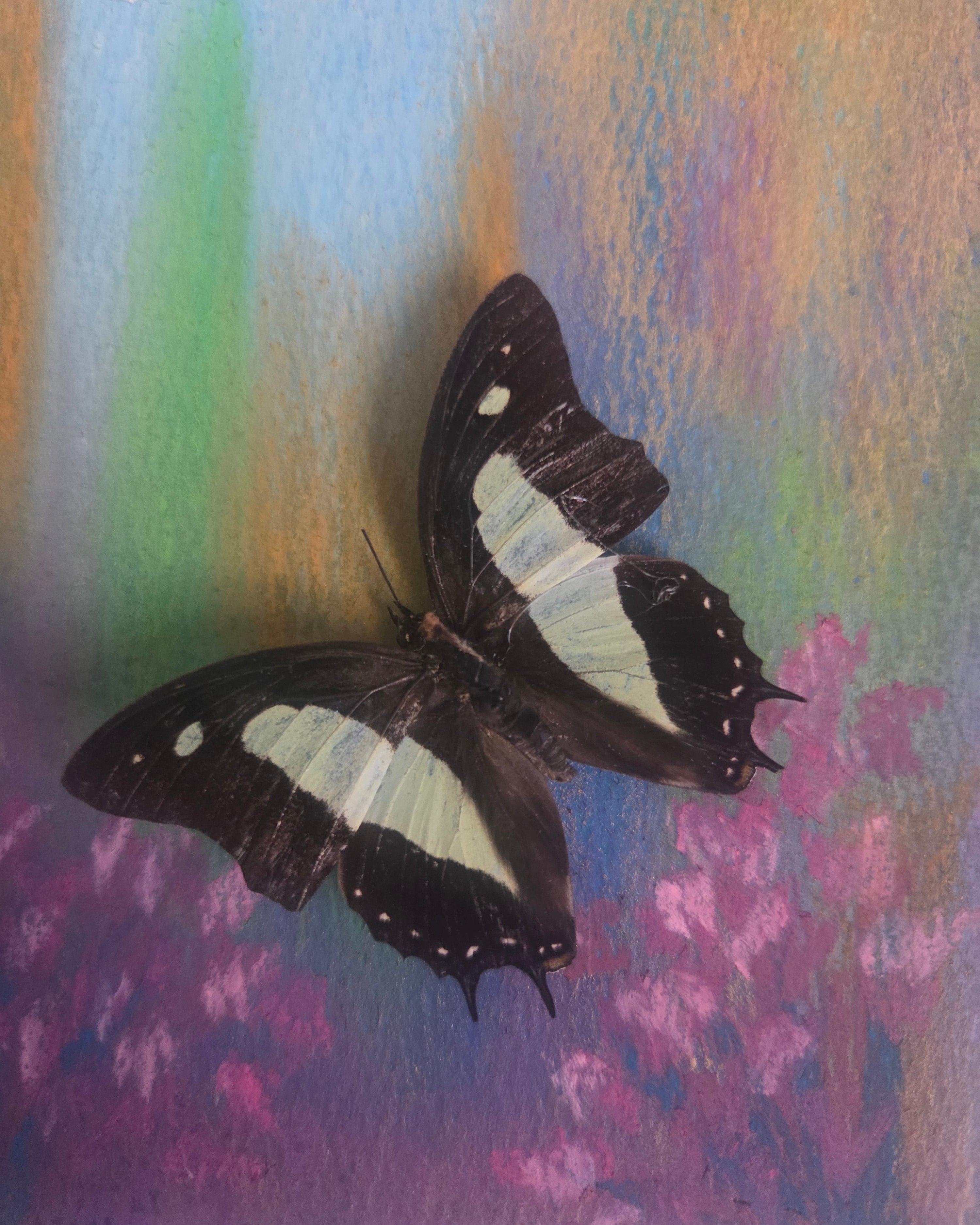 Inspirational Mixed-Media Butterfly Art |shadow box.
