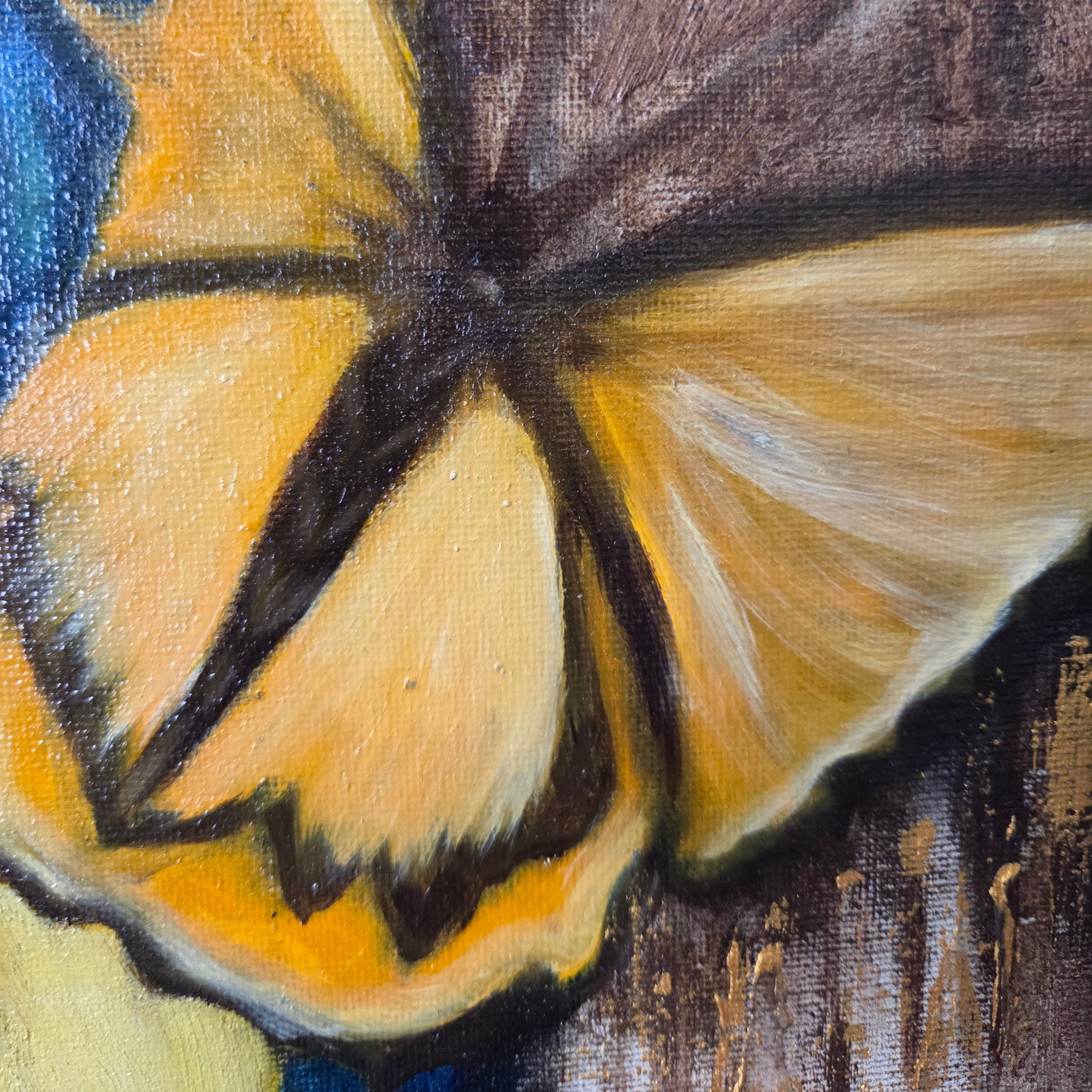 Close-up of a yellow-orange butterfly with a brown background